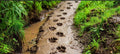 Muddy day out bundle